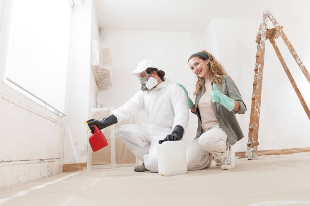 Best Indoor Air Quality Assessment  in Henderson, NC